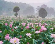 广昌天气预报60天